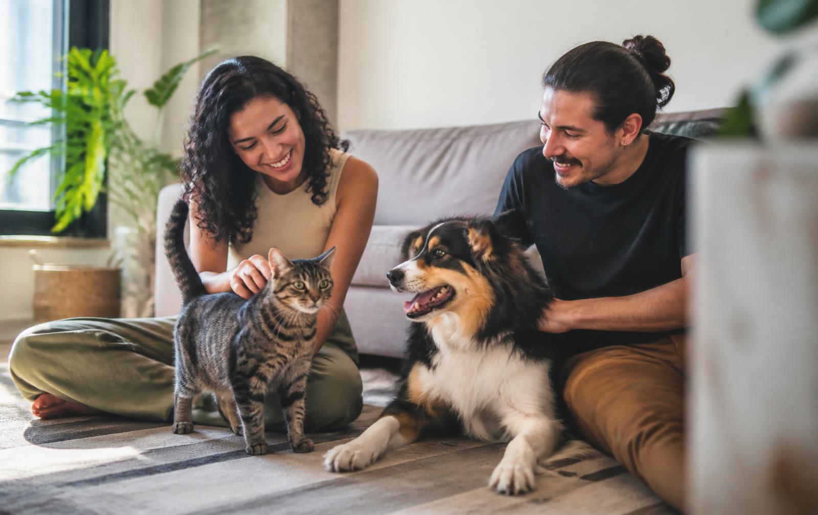 Un perro y un gato en casa junto a su familia