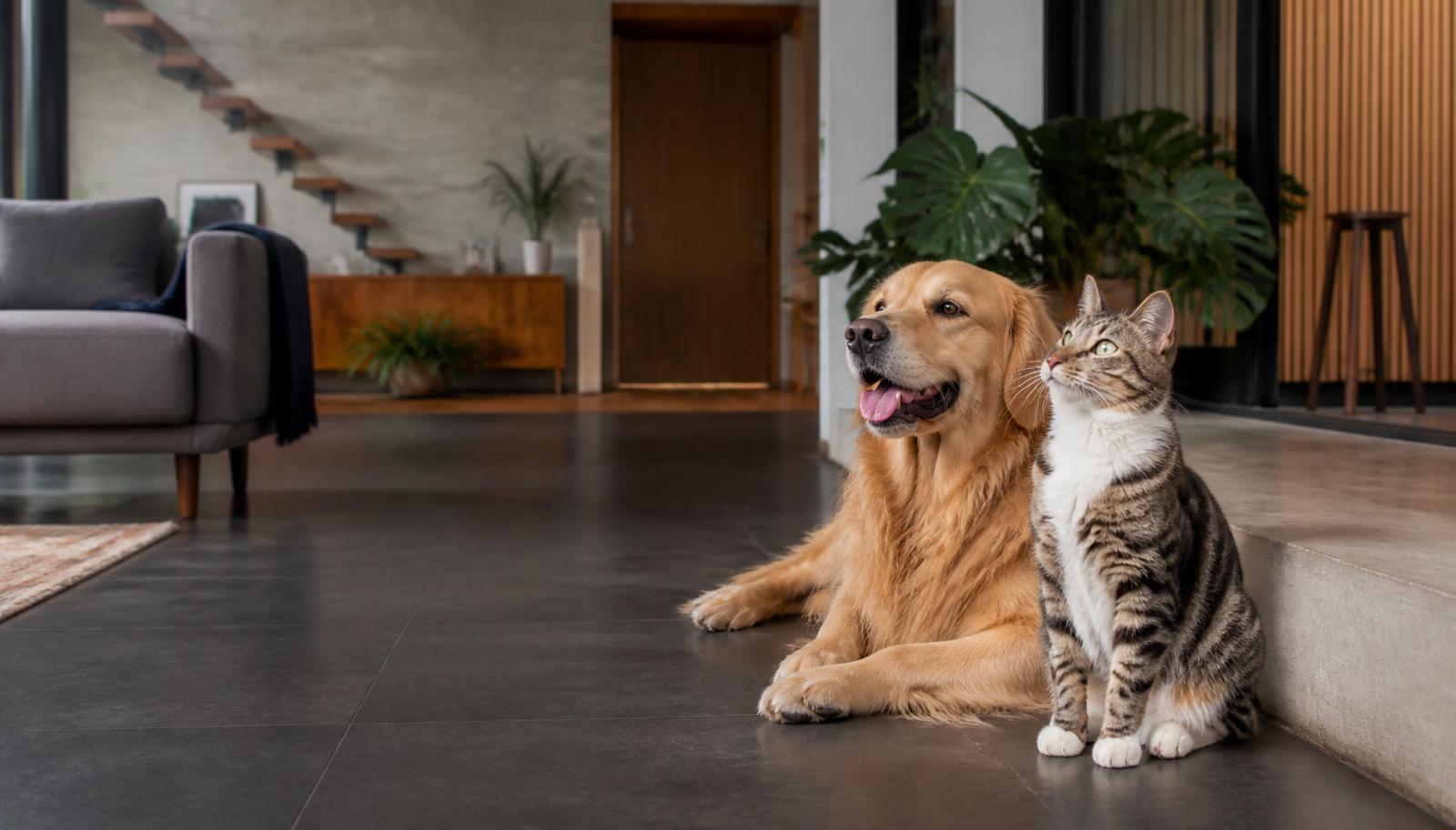 Mascotas en casa acompañadas por su familia